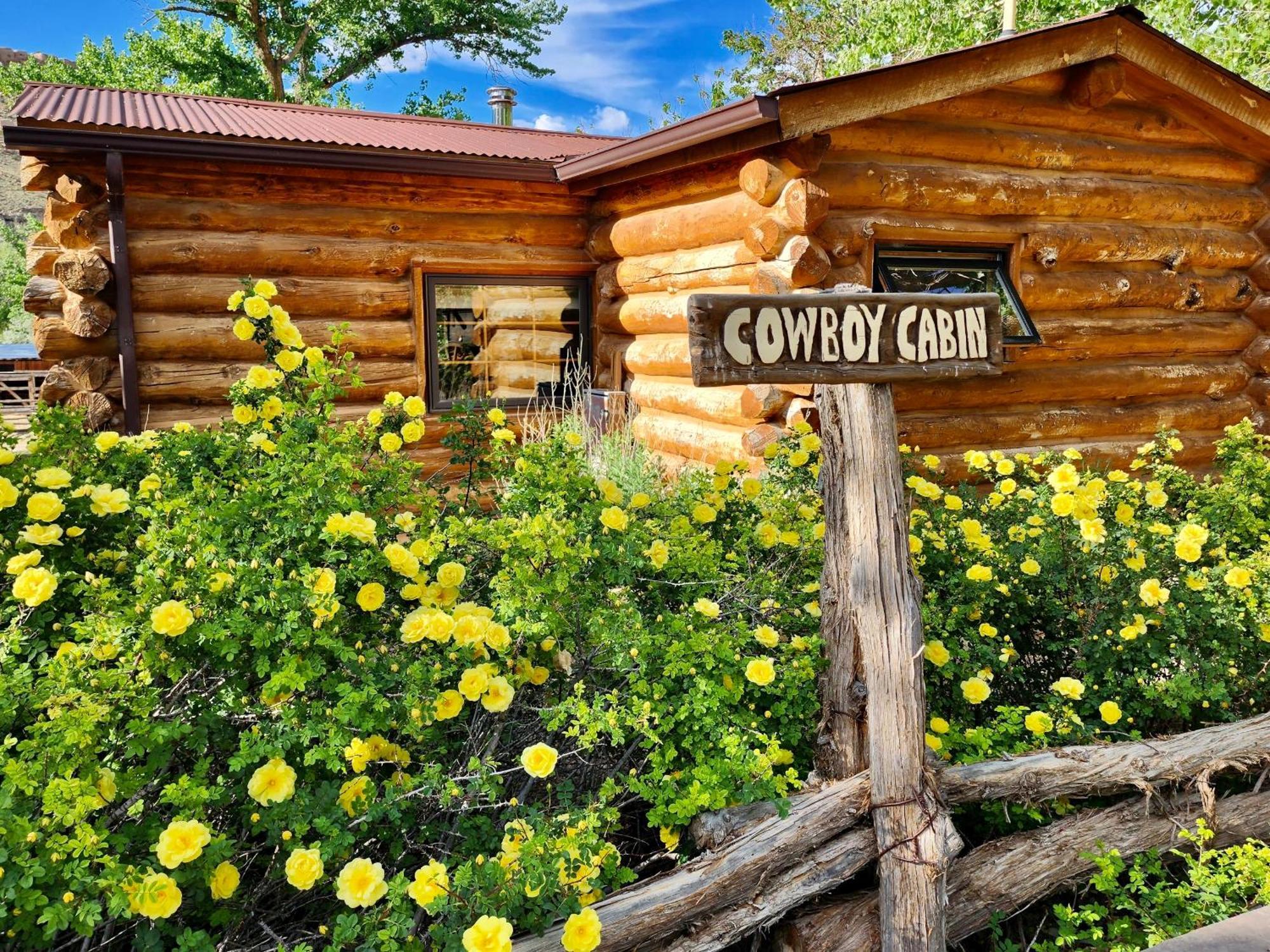 Canyon Of The Ancients Guest Ranch Cortez Eksteriør bilde