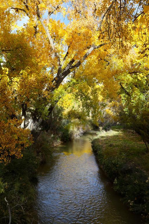 Canyon Of The Ancients Guest Ranch Cortez Eksteriør bilde