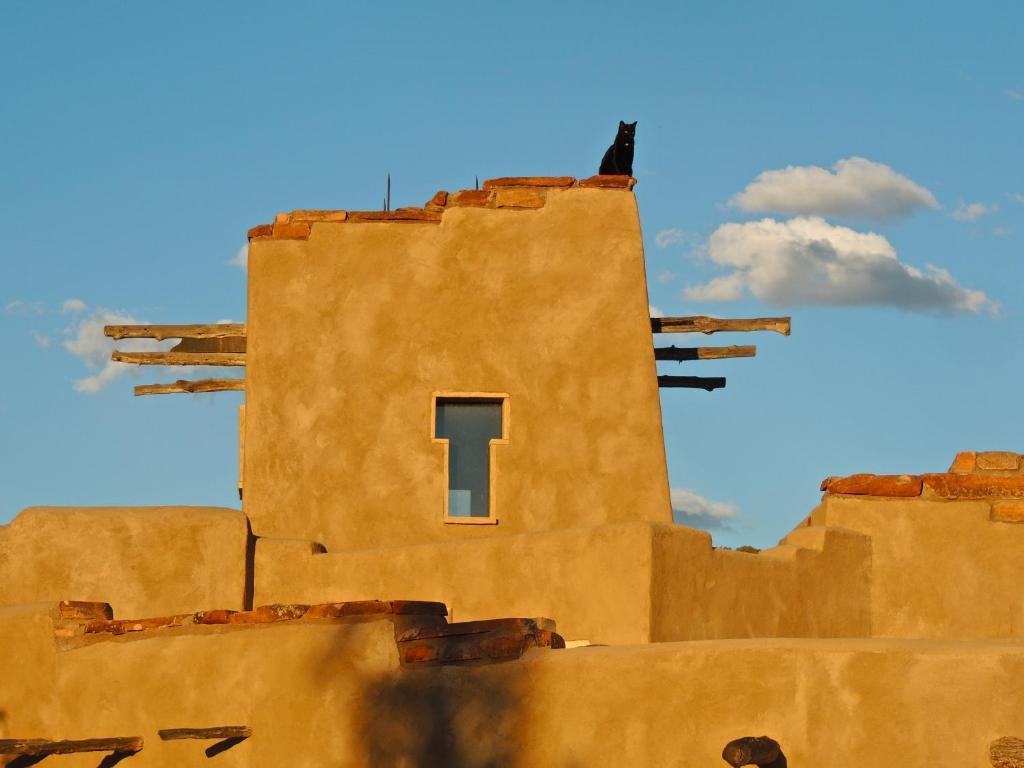 Canyon Of The Ancients Guest Ranch Cortez Eksteriør bilde