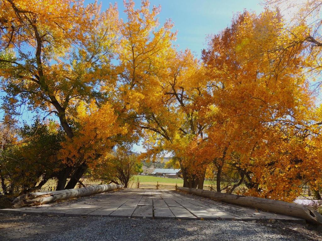 Canyon Of The Ancients Guest Ranch Cortez Eksteriør bilde