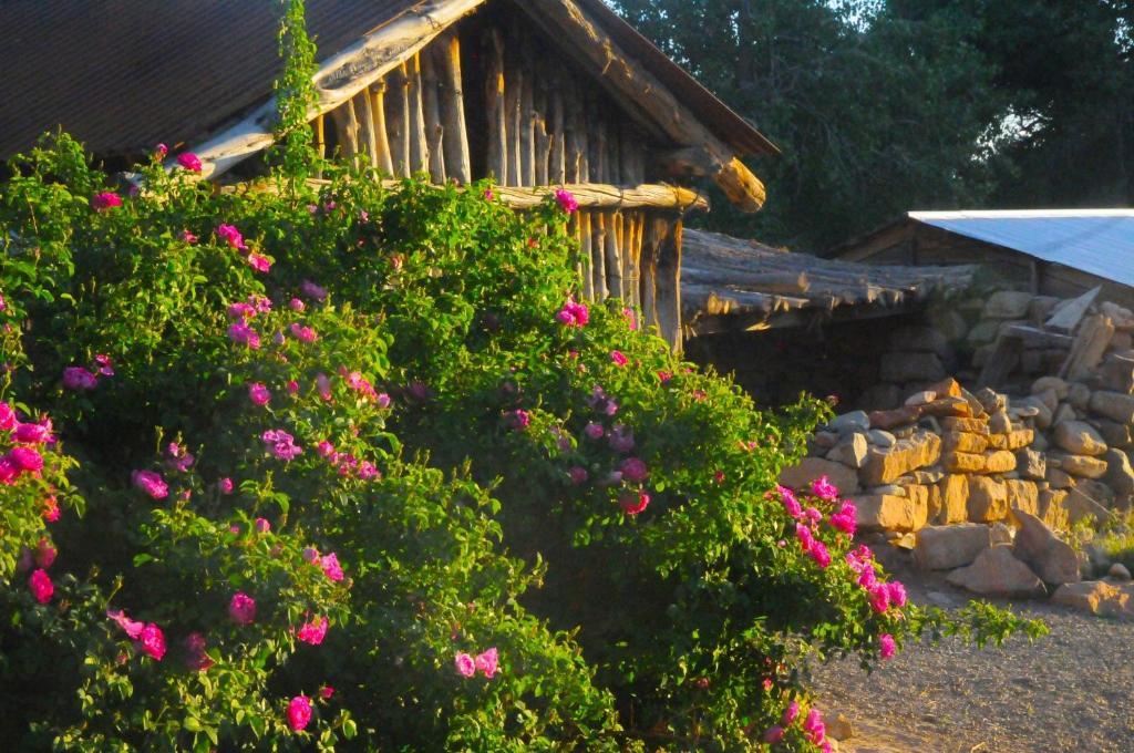 Canyon Of The Ancients Guest Ranch Cortez Eksteriør bilde