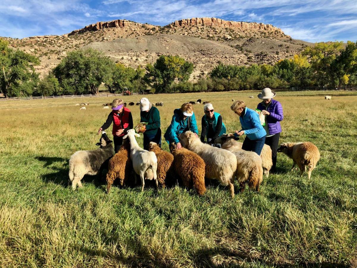 Canyon Of The Ancients Guest Ranch Cortez Eksteriør bilde