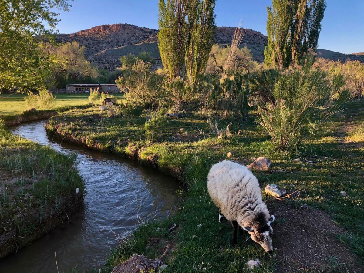 Canyon Of The Ancients Guest Ranch Cortez Eksteriør bilde